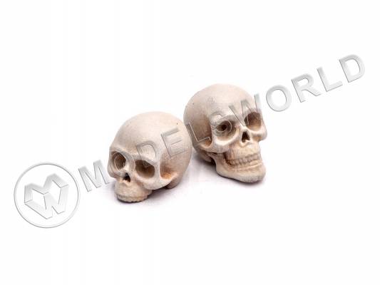 Черепа человеческие, размер L, 10 шт. Масштаб 1:24