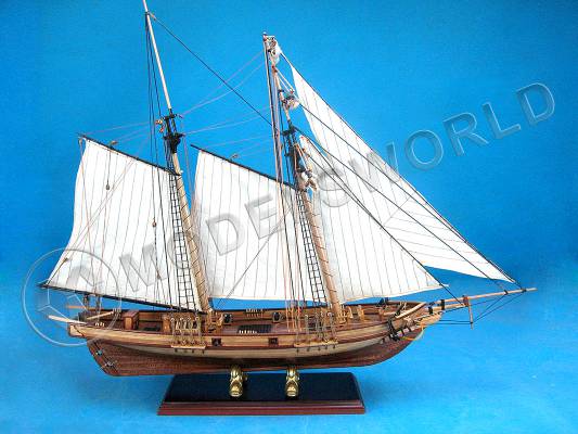 Набор для постройки модели корабля NEW PORT. Масштаб 1:32