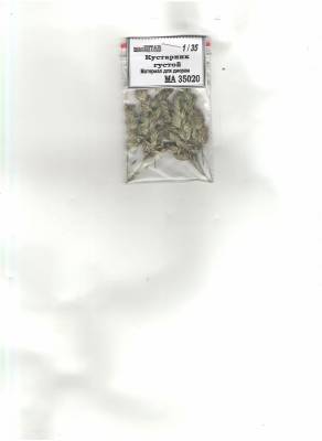 Кустарник густой летний