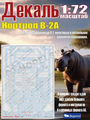 Декаль Нортроп В-2А. Масштаб 1:72