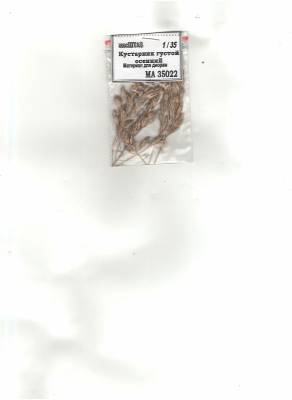 Кустарник густой осенний