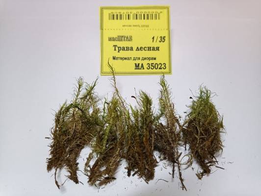 Трава лесная