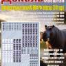 Декаль Дополнительные опознавательные знаки МА ВМФ России (образца 2010 года). Масштаб 1:48