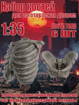 Набор костей для диорам. Кости тела. 6 шт. Масштаб 1:35 (1)