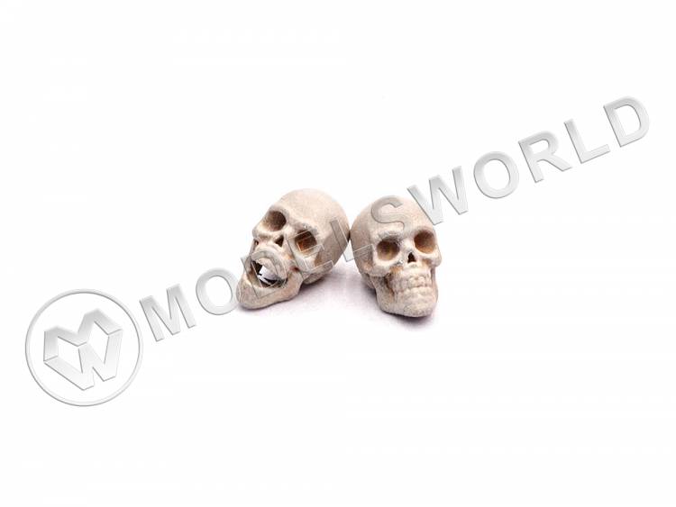 Черепа человеческие, размер S, 20 шт. Масштаб 1:48 - фото 1